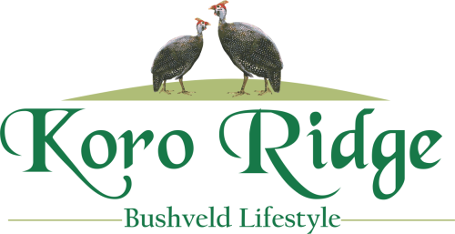 Koro Ridge Bushveld Golf Estate logo