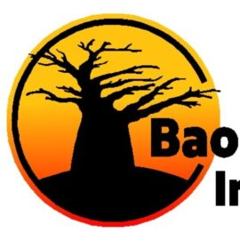 Baobab Irrigation logo